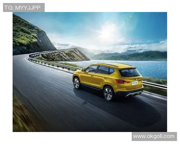 vs通行码价格揭秘及购买渠道详解让你轻松出行无忧 vs通行码价格揭秘及购买渠道详解让你轻松出行无忧