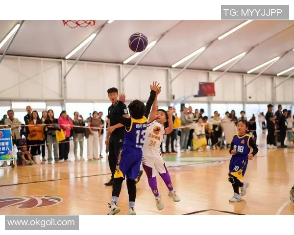 西安篮球队实力强劲登顶最新篮球实力排行榜前十名