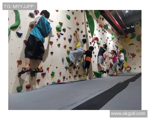 南京攀岩队在滑板精英赛中的比赛经验与表现分析